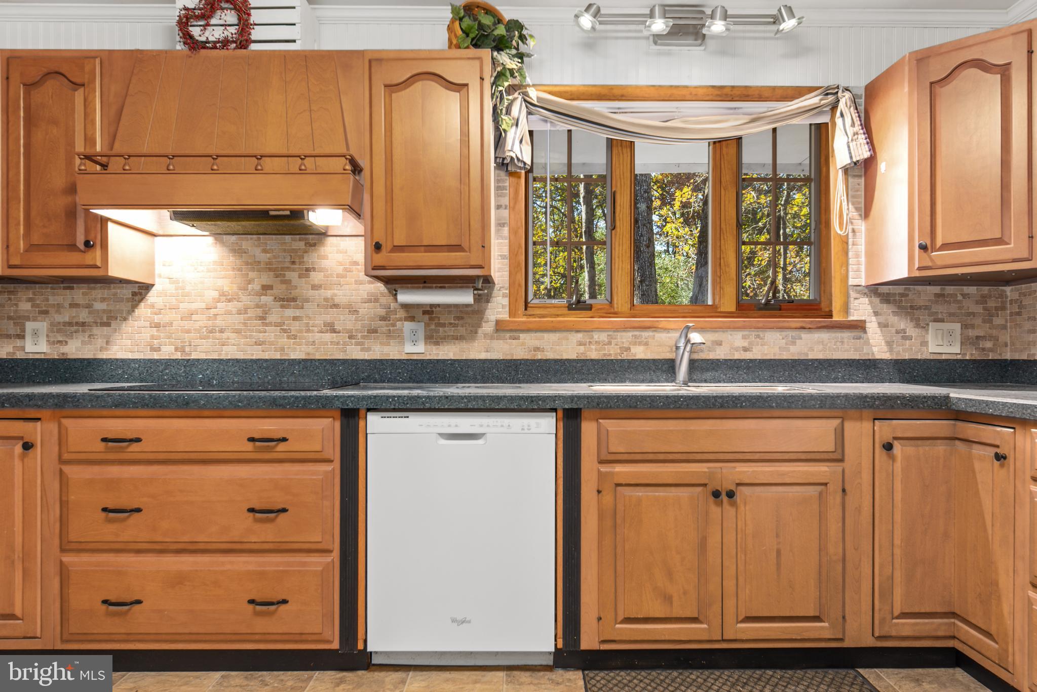 226 Cobbs Mill Road Bridgeton, NJ 08302 - Photo 7 of 32 Kitchen
