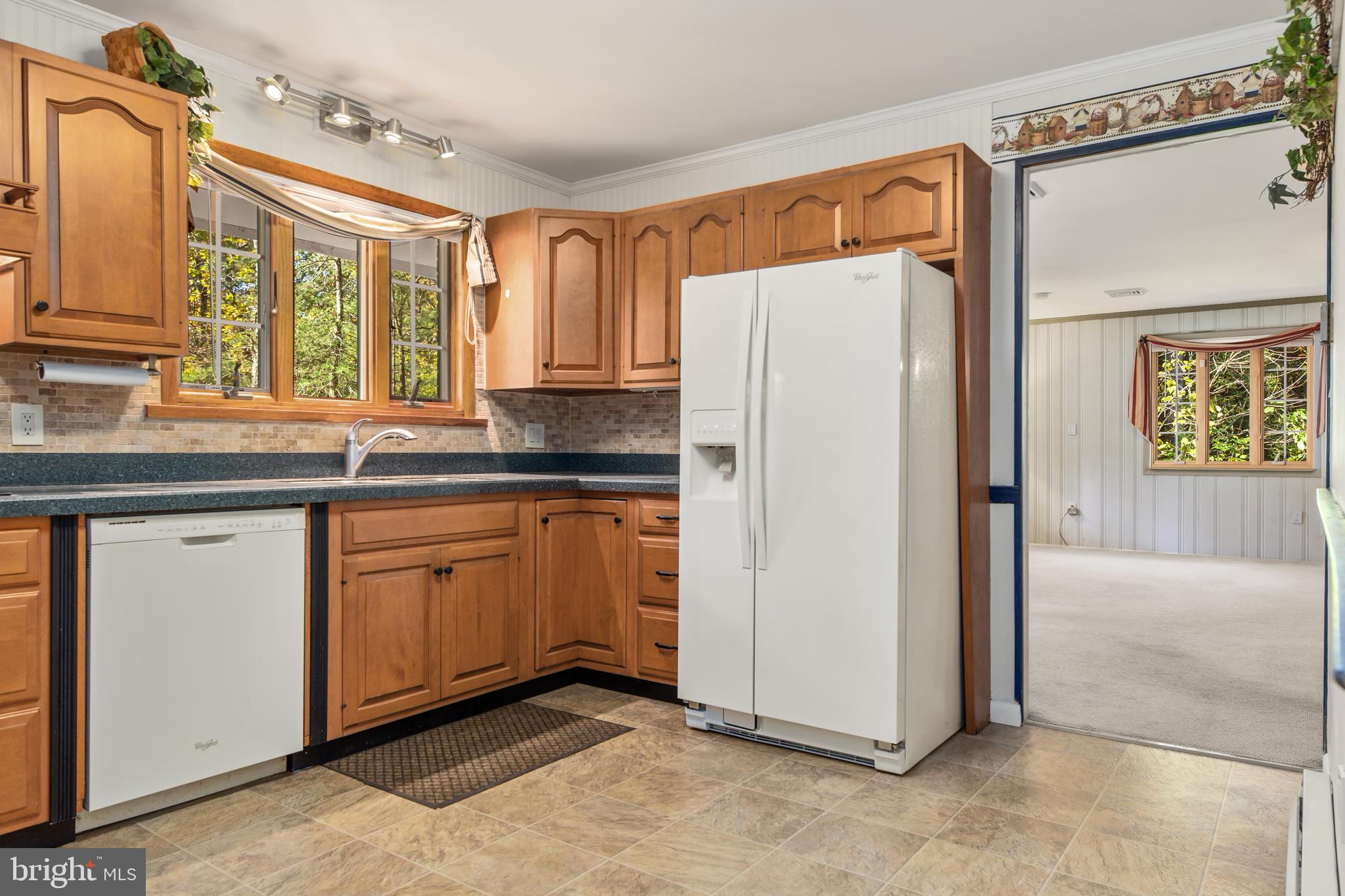 226 Cobbs Mill Road Bridgeton, NJ 08302 - Photo 9 of 32 Kitchen
