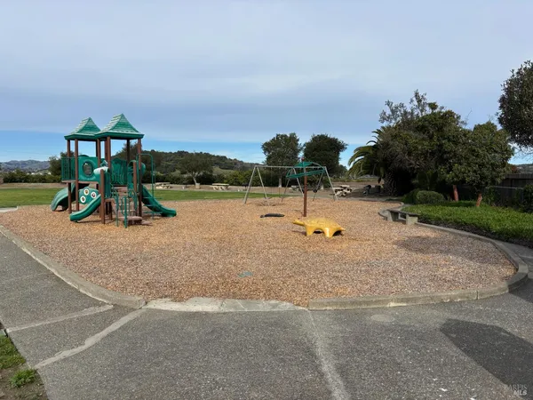 a view of a garden with a tree