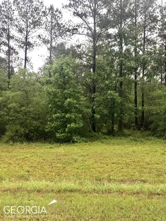 $55,511 | 0 Rock Springs Road, Unit LOT 9, Dublin, GA 31021