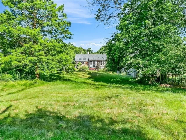 a view of a big yard with plants and large trees