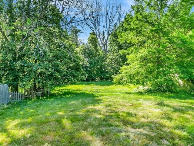 a view of a lush green space