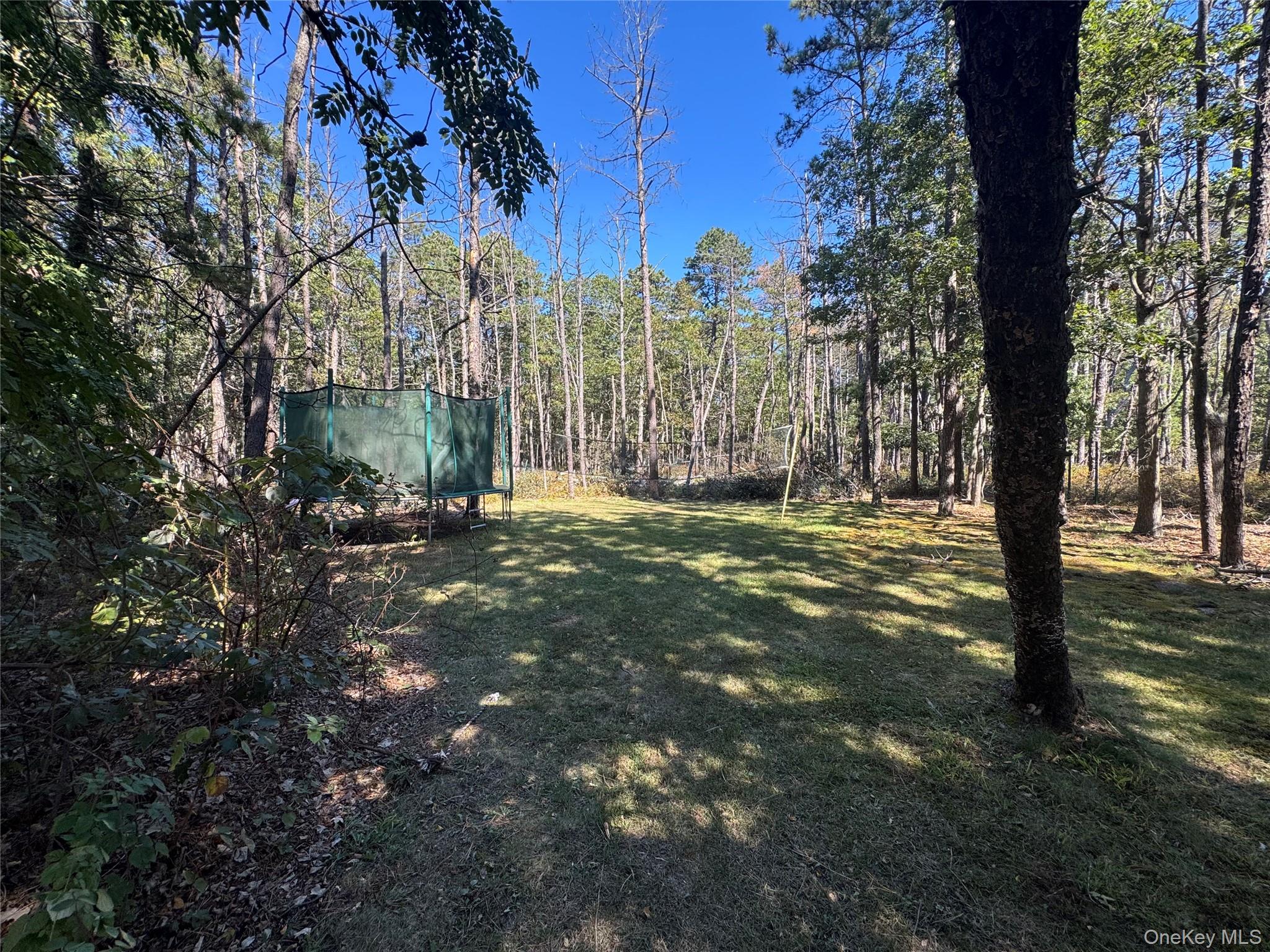 43 North Cozine Road Manorville, NY 11949 - Photo 39 of 42 View of green lawn featuring a forest view