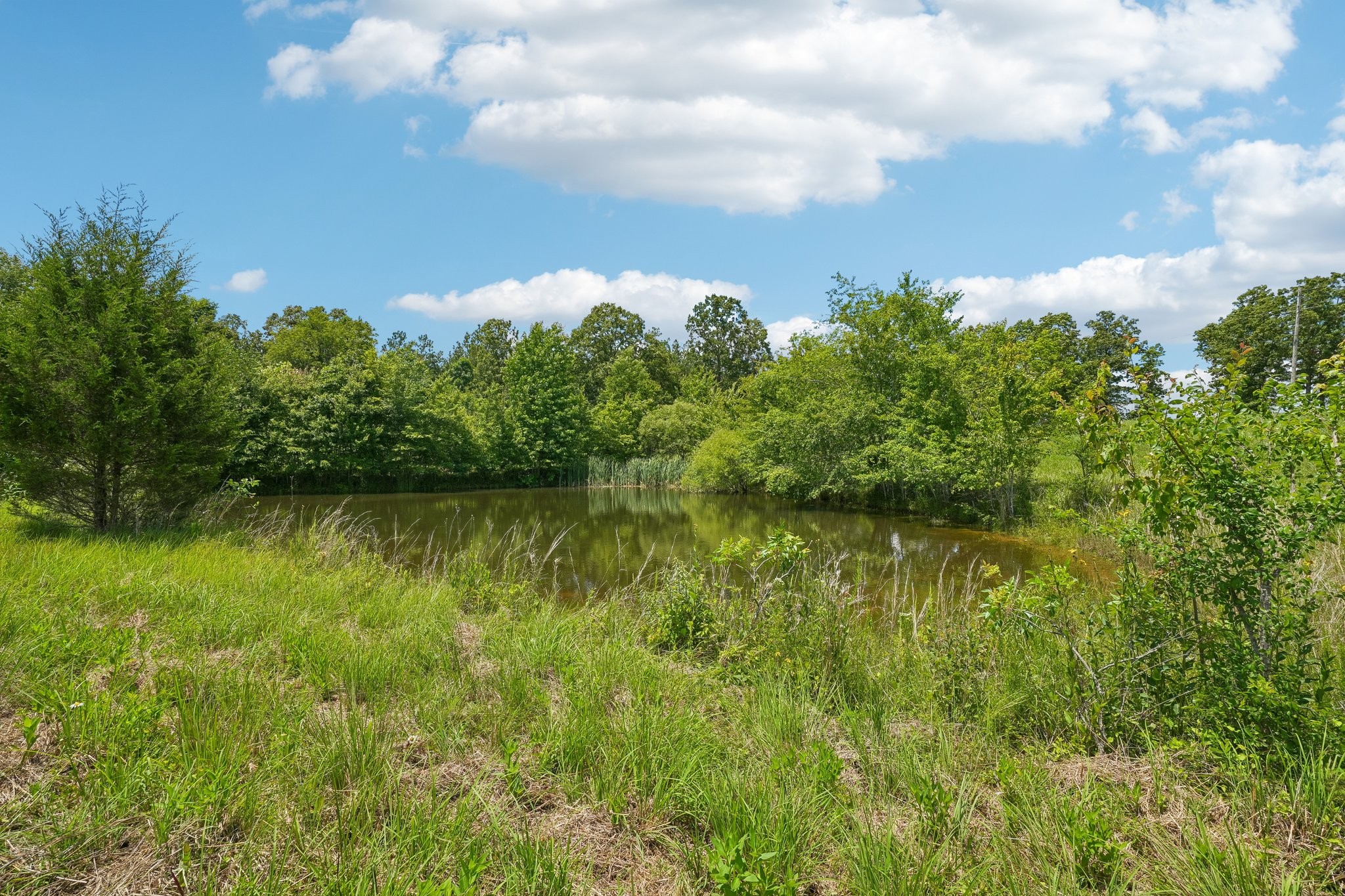 4501 West Tennessee City Road McEwen, TN 37101 - Photo 56 of 72