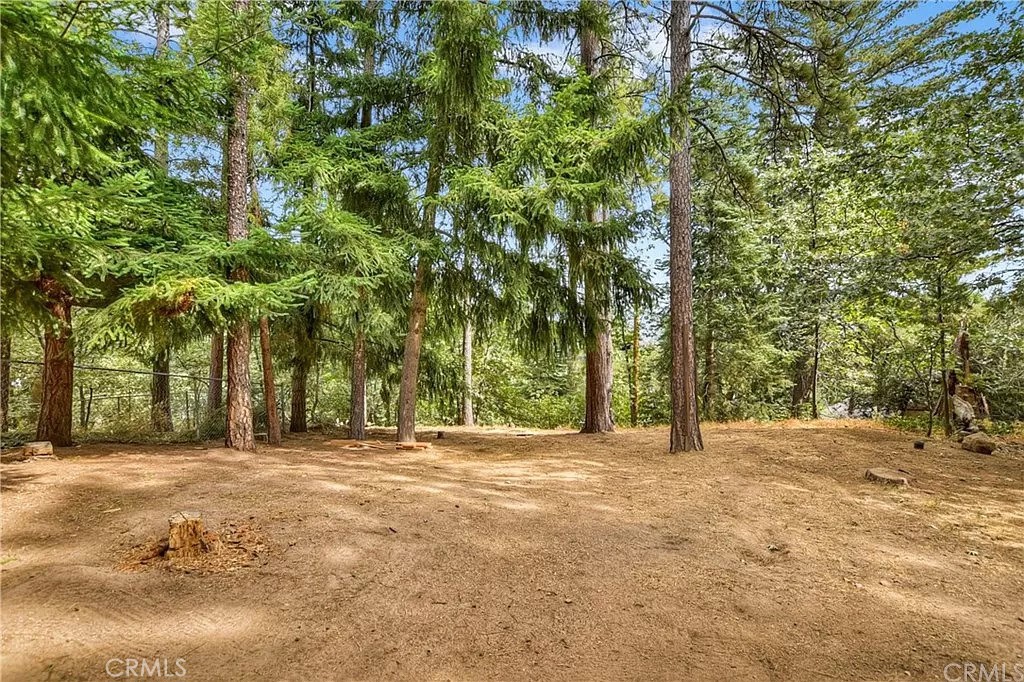 471 Willow Witch Road Cedarpines Park, CA 92322 - Photo 24 of 35