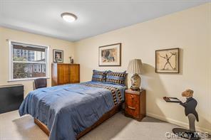 23-18 Corporal Kennedy Street, Unit A Queens, NY 11360 - Photo 11 of 13