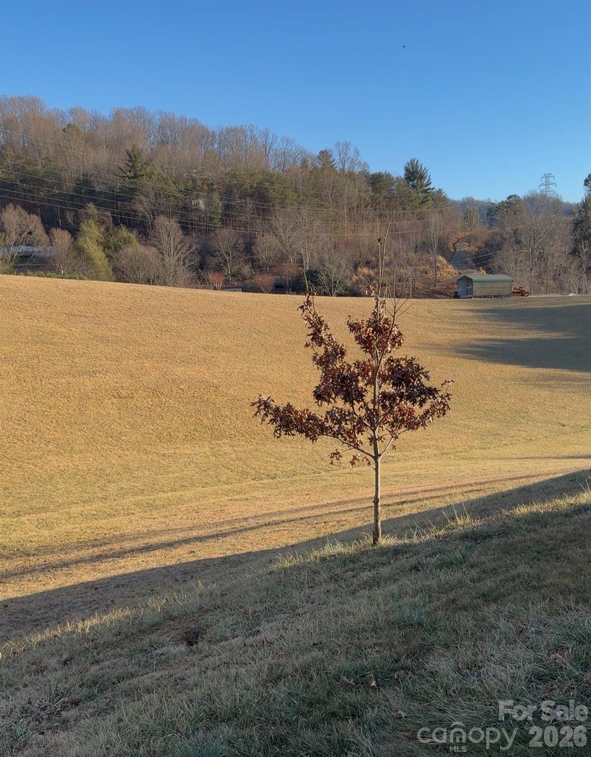 600 Scottdale Road Canton, NC 28716 - Photo 6 of 20 a view of lake with mountain