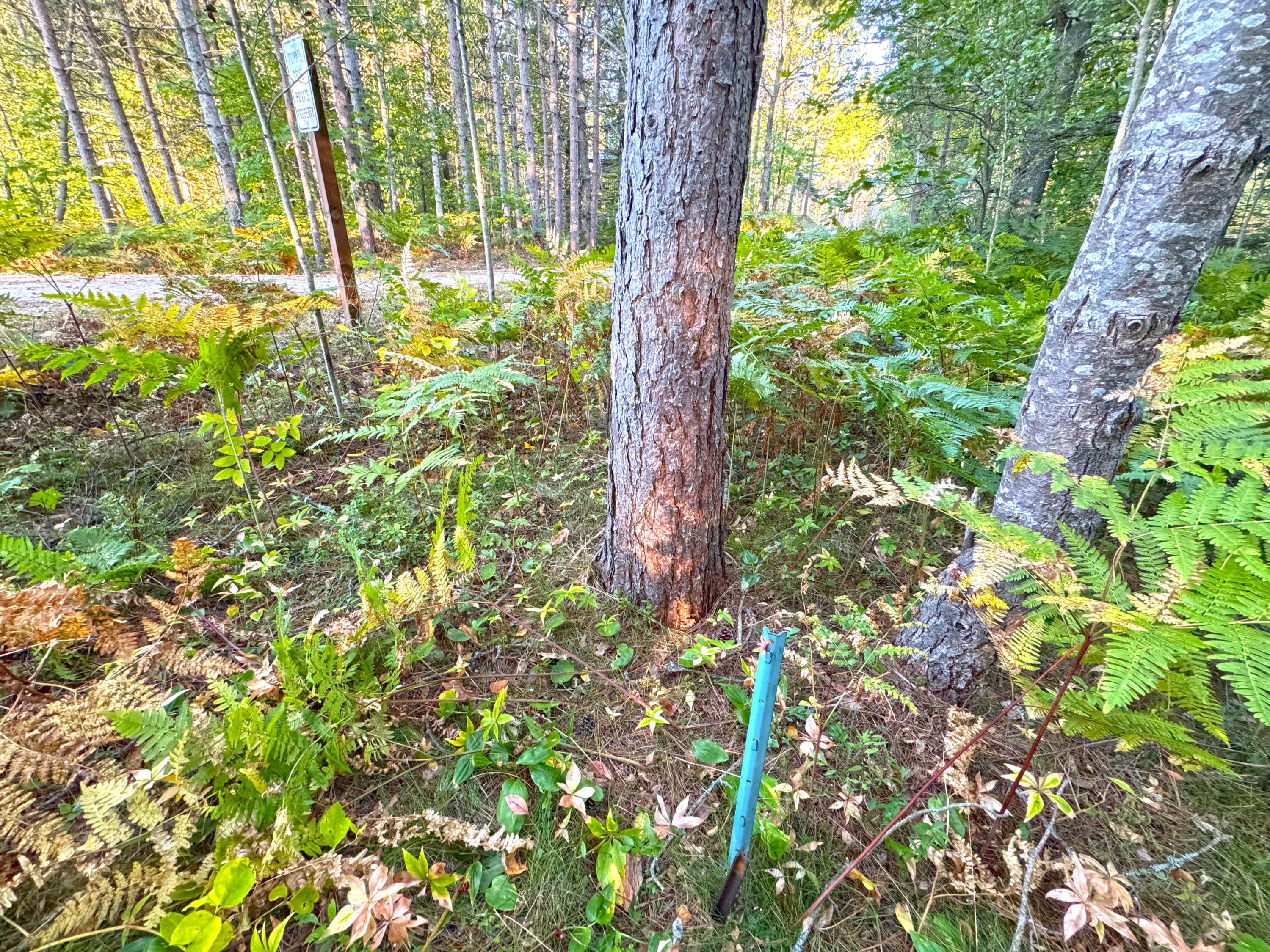 15614 North Whitefish Point Road Paradise, MI 49768 - Photo 93 of 107 Gallery Image 93