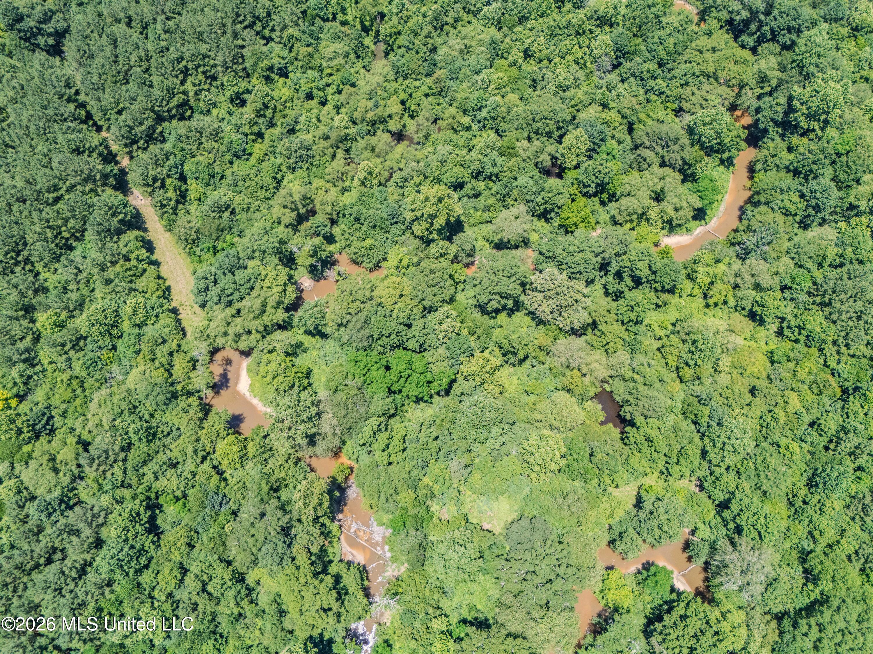 23 Co Road Bay Springs, MS 39422 - Photo 57 of 64 DJI_20260611124208_0031_D