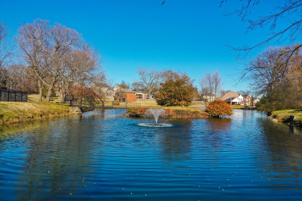 4002 Timber Ridge Court Mount Juliet, TN 37122 - Photo 36 of 37 a view of an ocean with trees