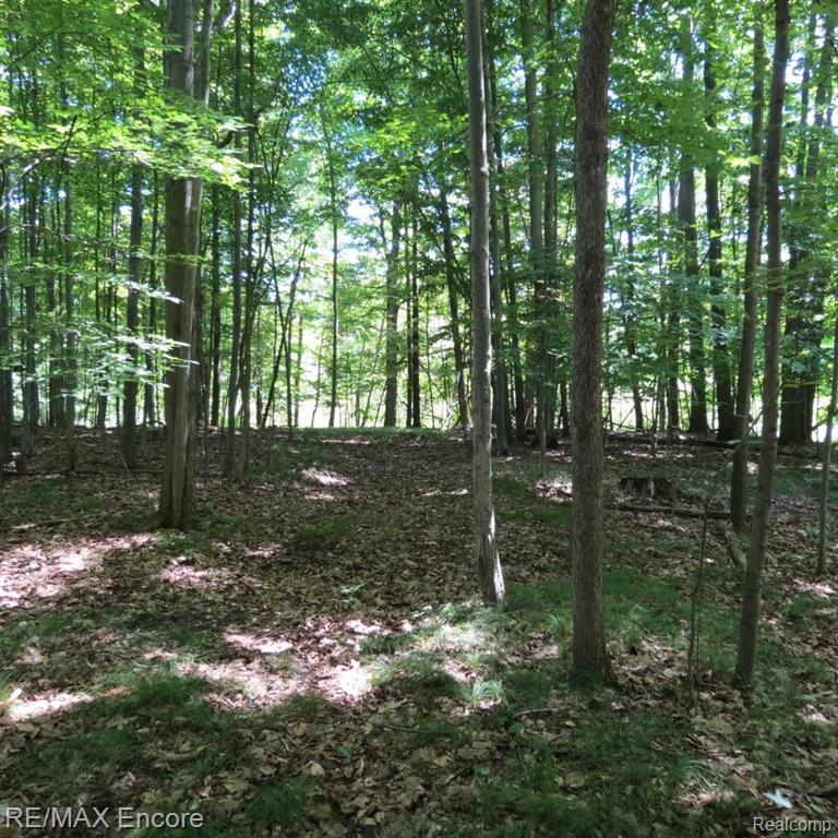 4435 Hadley Road Metamora, MI 48455 - Photo 16 of 19