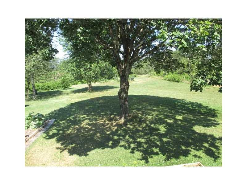 1422 Sessi Road Latrobe, PA 15650 - Photo 8 of 9 Yard/Garden.