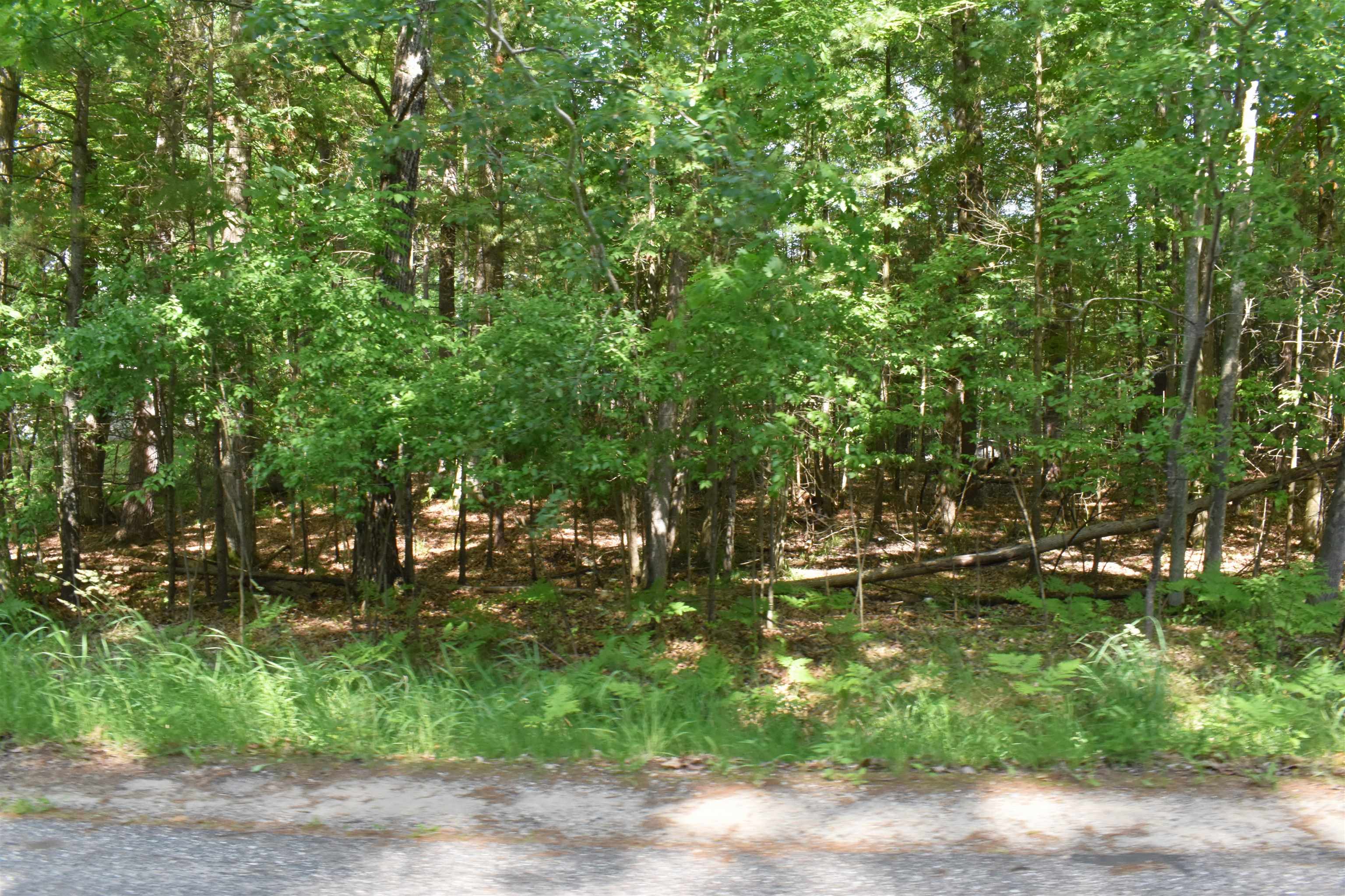 Lot 196 Princess Way Gladwin, MI 48624 - Photo 10 of 12