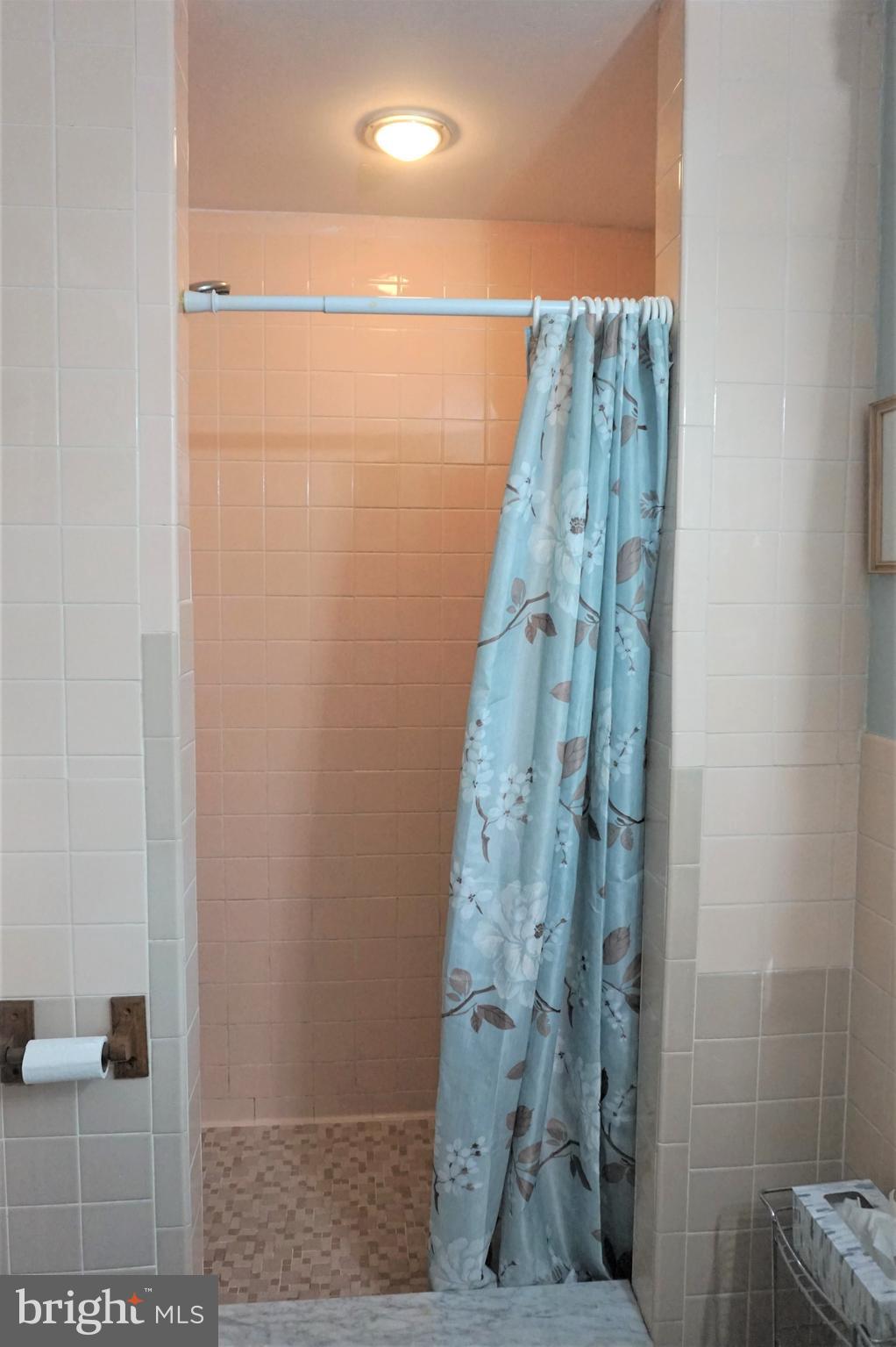 9907 Middleford Road Seaford, DE 19973 - Photo 11 of 58 Walk-in shower