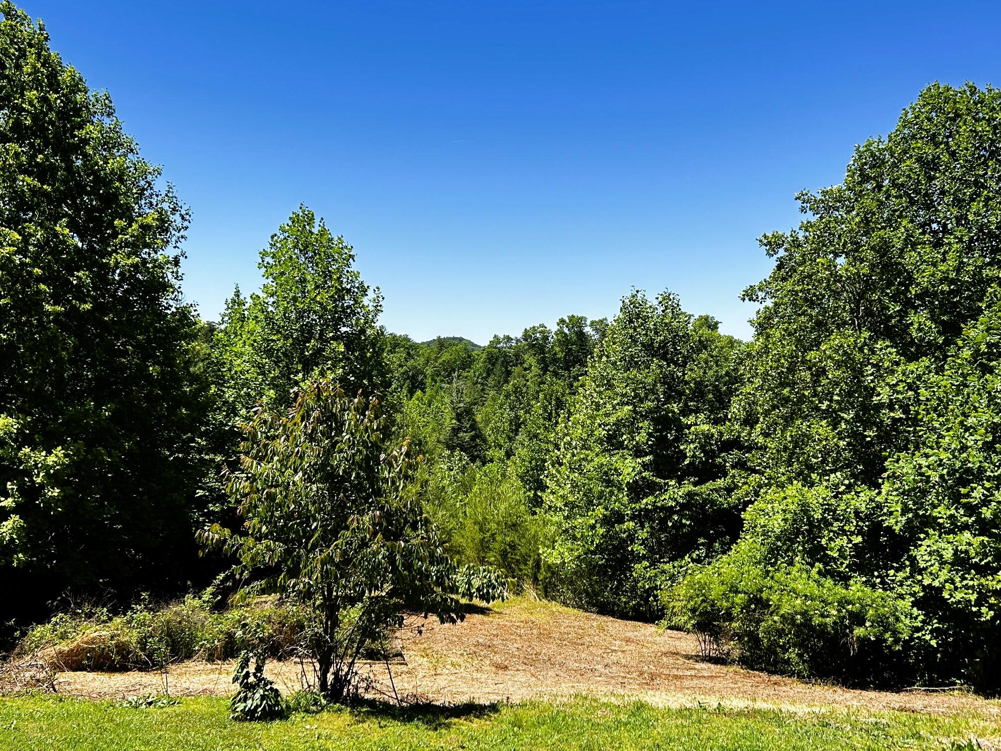 161 Willie Shell Road Reliance, TN 37369 - Photo 56 of 70 willie views 3
