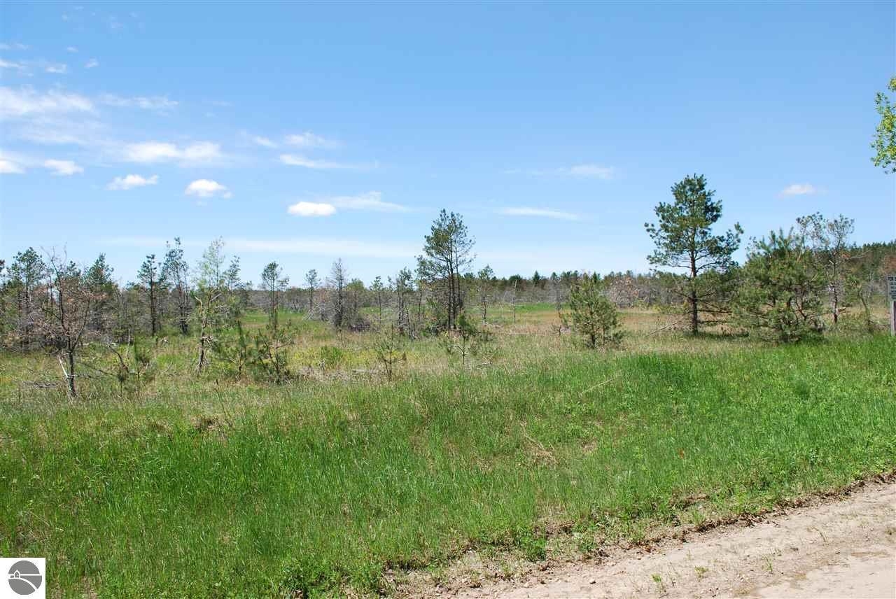 Parcel #3 Southeast Parcel Road Kalkaska, MI 49646 - Photo 2 of 8
