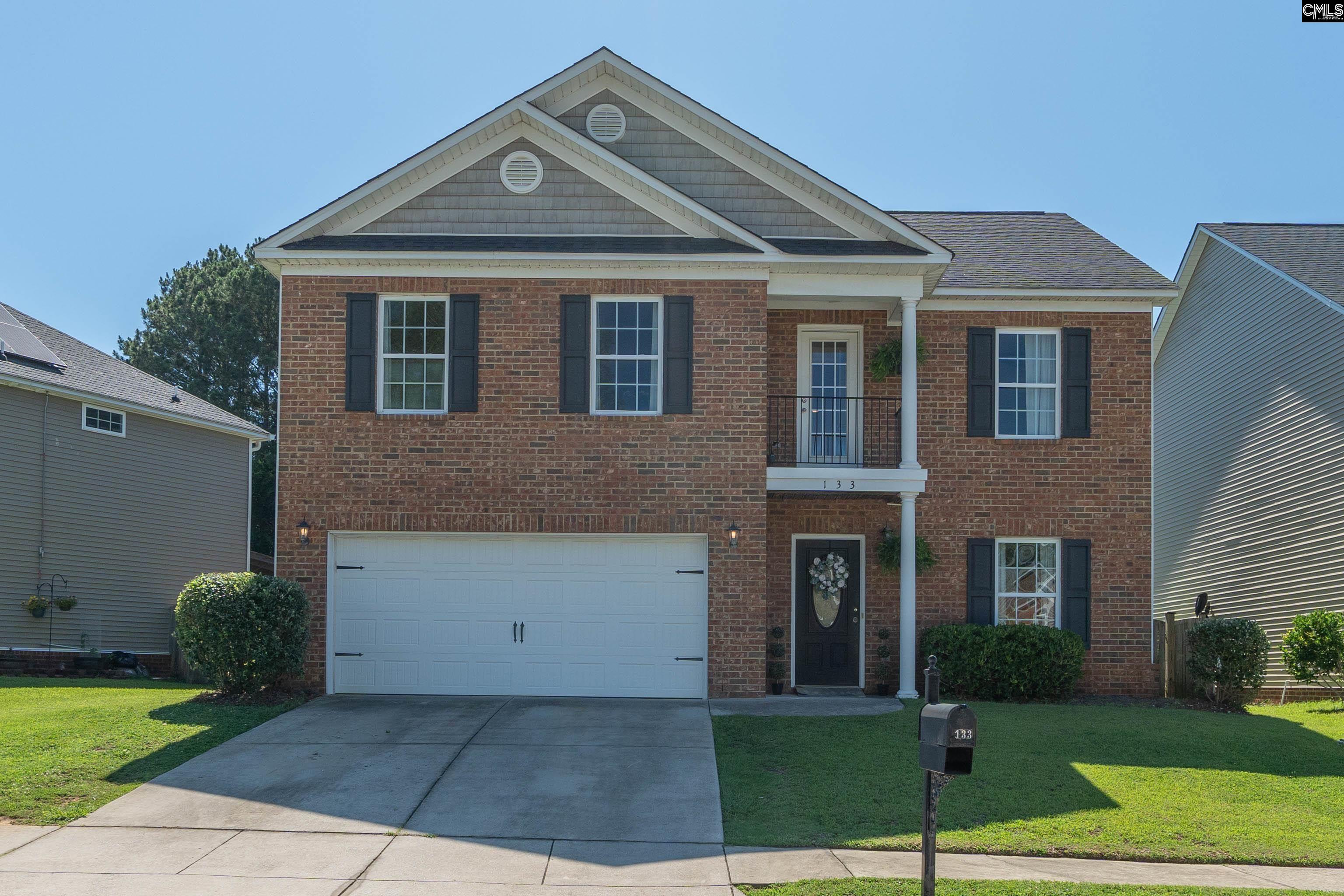 133 Palm Street Chapin, SC 29036 - Photo 1 of 37