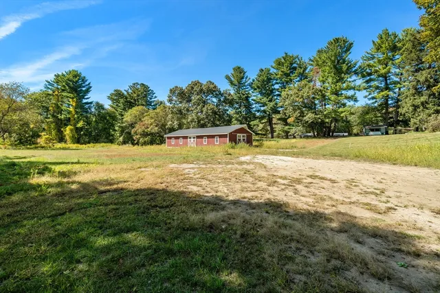 a view of a field with a tree