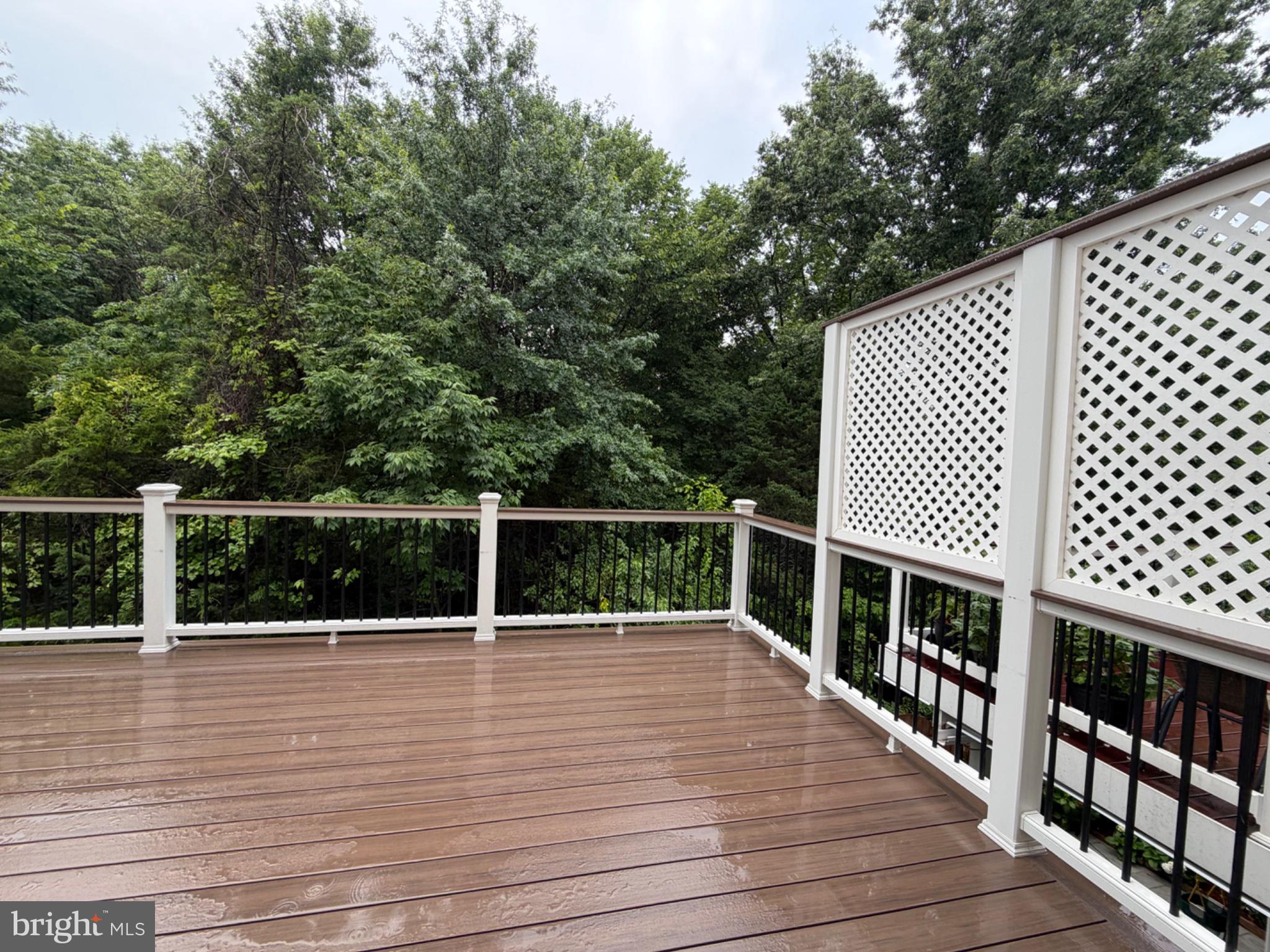 25333 Wakestone Terrace Chantilly, VA 20152 - Photo 12 of 109 Serene deck amidst lush greenery.