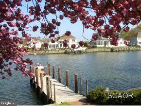 105 Kingsbridge Road Rehoboth Beach, DE 19971 - Photo 5 of 24 Gallery Image 5