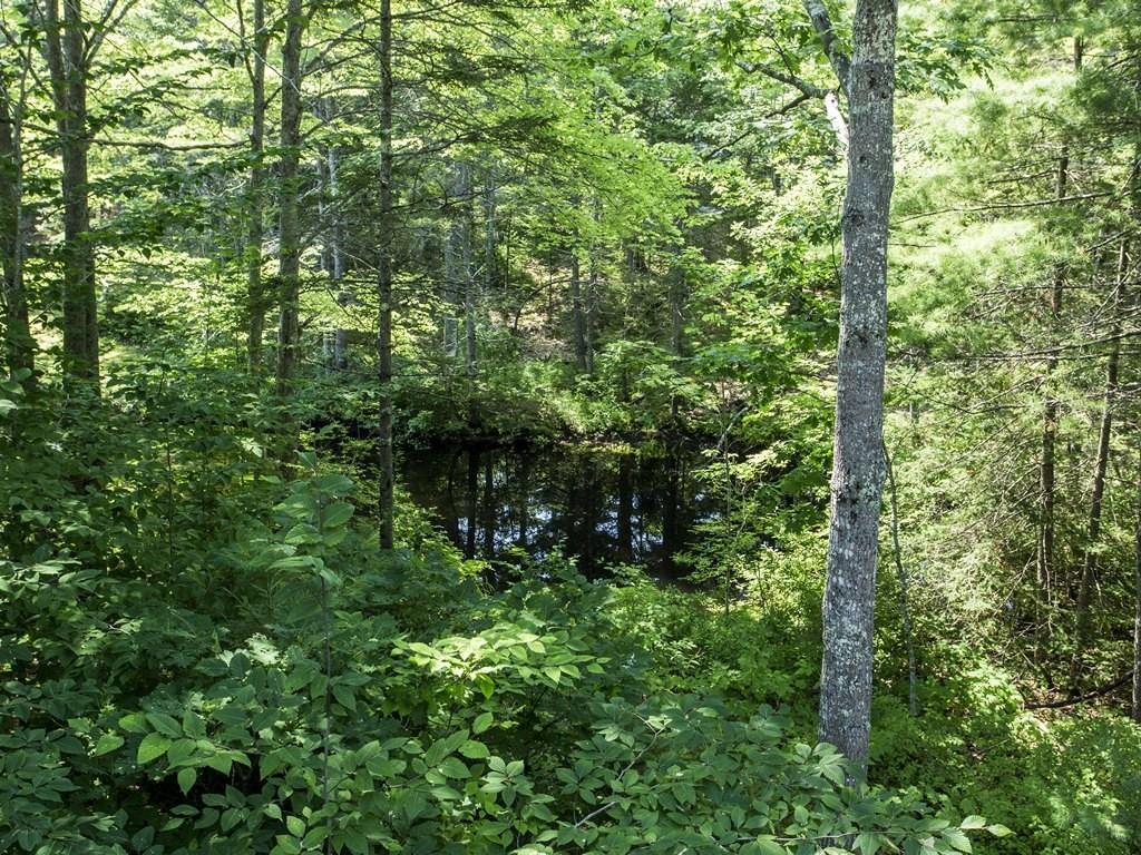 5 Willow Ridge Lane Boothbay, ME 04537 - Photo 28 of 31 Photo