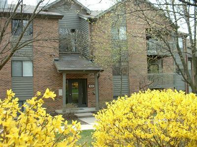 7631 Montgomery Road, Unit 7 Cincinnati, OH 45236 - Photo 1 of 1