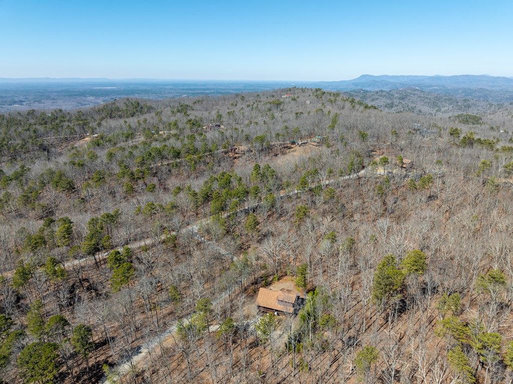 1529 Faith Court Ranger, GA 30734 - Photo 42 of 50 an aerial view of a house with a yard