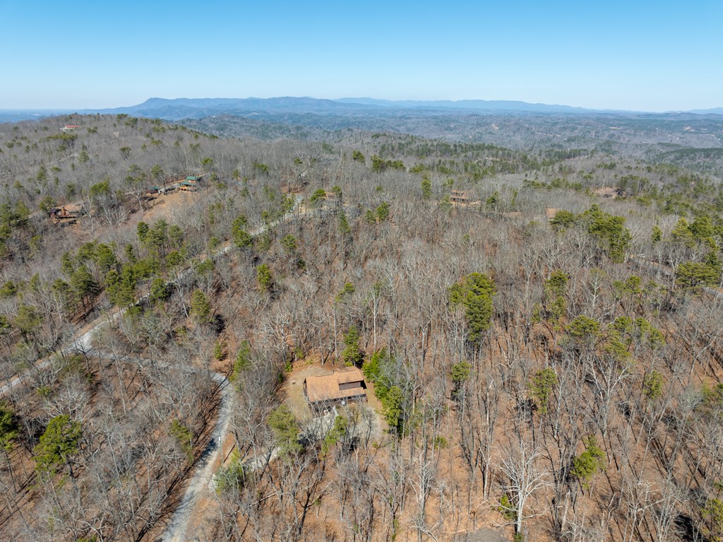 1529 Faith Court Ranger, GA 30734 - Photo 44 of 50