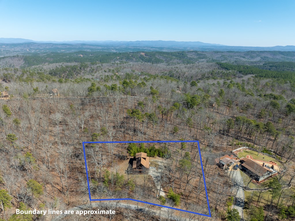 1529 Faith Court Ranger, GA 30734 - Photo 7 of 50 a view of a field with an outdoor space