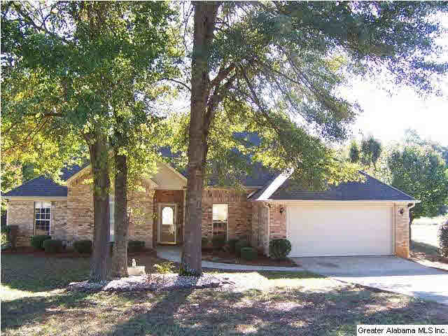 919 10th Street Southwest Alabaster, AL 35007 - Photo 1 of 11