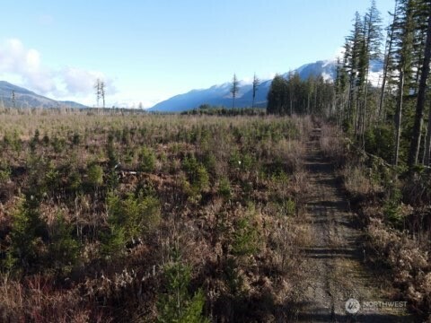 9523 Heady Road Maple Falls, WA 98266 - Photo 1 of 17 a view of a city