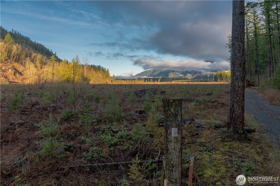 9523 Heady Road Maple Falls, WA 98266 - Photo 14 of 17 a view of a yard