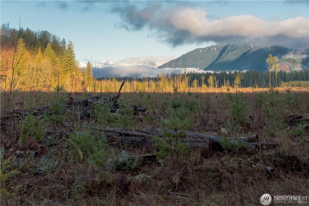 9523 Heady Road Maple Falls, WA 98266 - Photo 15 of 17 a view of a lake in middle of forest