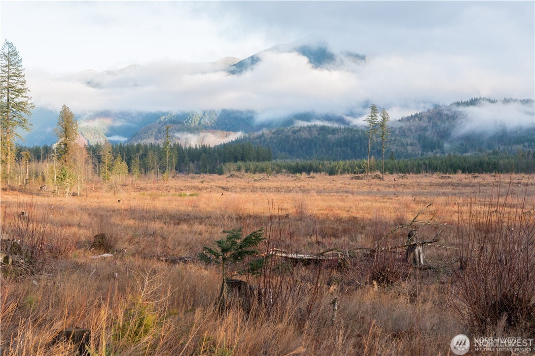 9523 Heady Road Maple Falls, WA 98266 - Photo 16 of 17 a view of lake with mountain