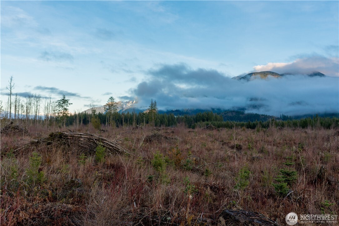 9523 Heady Road Maple Falls, WA 98266 - Photo 17 of 17 a view of a yard