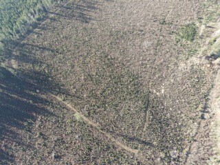 9523 Heady Road Maple Falls, WA 98266 - Photo 2 of 17 a close up of a wall