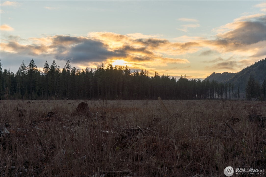 9523 Heady Road Maple Falls, WA 98266 - Photo 3 of 17 a view of a dry yard
