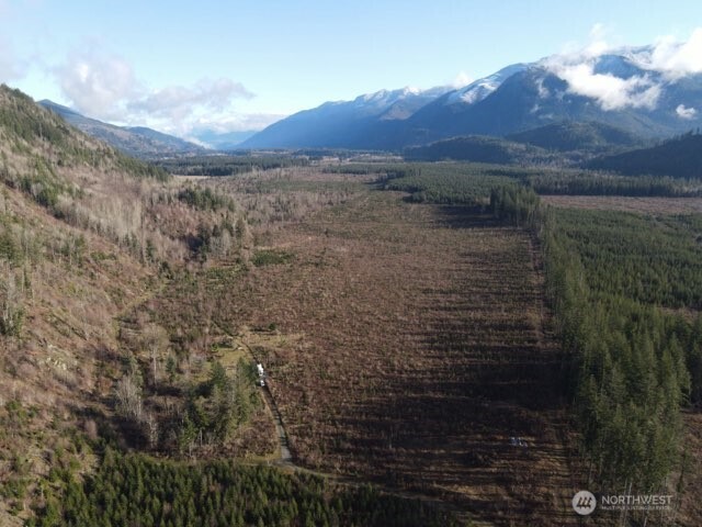 9523 Heady Road Maple Falls, WA 98266 - Photo 4 of 17 a view of a lake in middle of forest