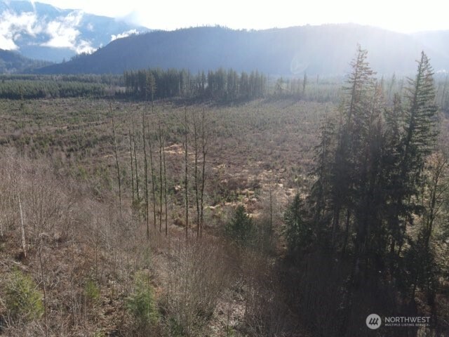 9523 Heady Road Maple Falls, WA 98266 - Photo 5 of 17 a view of a dry yard with trees in the background