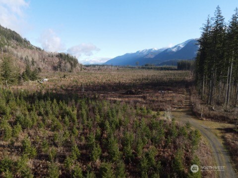 9523 Heady Road Maple Falls, WA 98266 - Photo 6 of 17 a view of a lake in middle of forest