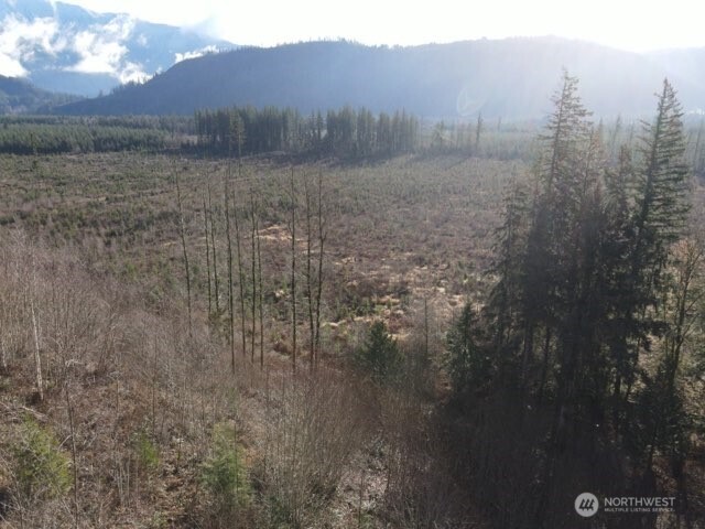 9523 Heady Road Maple Falls, WA 98266 - Photo 7 of 17 a view of a dry yard with trees in the background