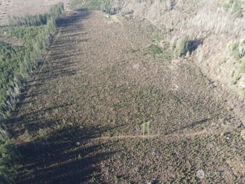 9523 Heady Road Maple Falls, WA 98266 - Photo 8 of 17 a view of a yard