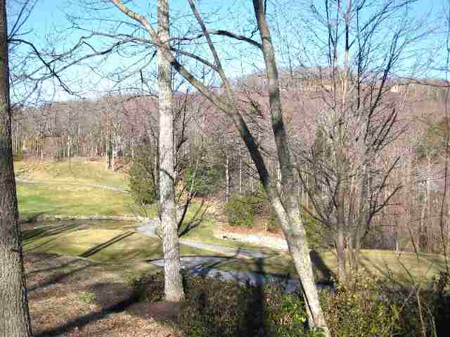 Lot 10 Glassy Ridge Road, Unit CLIFFS AT GLASSY Landrum, SC 29356 - Photo 7 of 9 Gallery Image 7