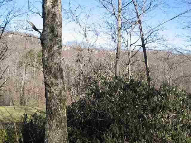 Lot 10 Glassy Ridge Road, Unit CLIFFS AT GLASSY Landrum, SC 29356 - Photo 8 of 9 Gallery Image 8