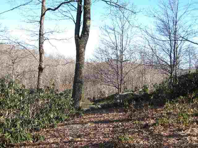 Lot 10 Glassy Ridge Road, Unit CLIFFS AT GLASSY Landrum, SC 29356 - Photo 9 of 9 Gallery Image 9