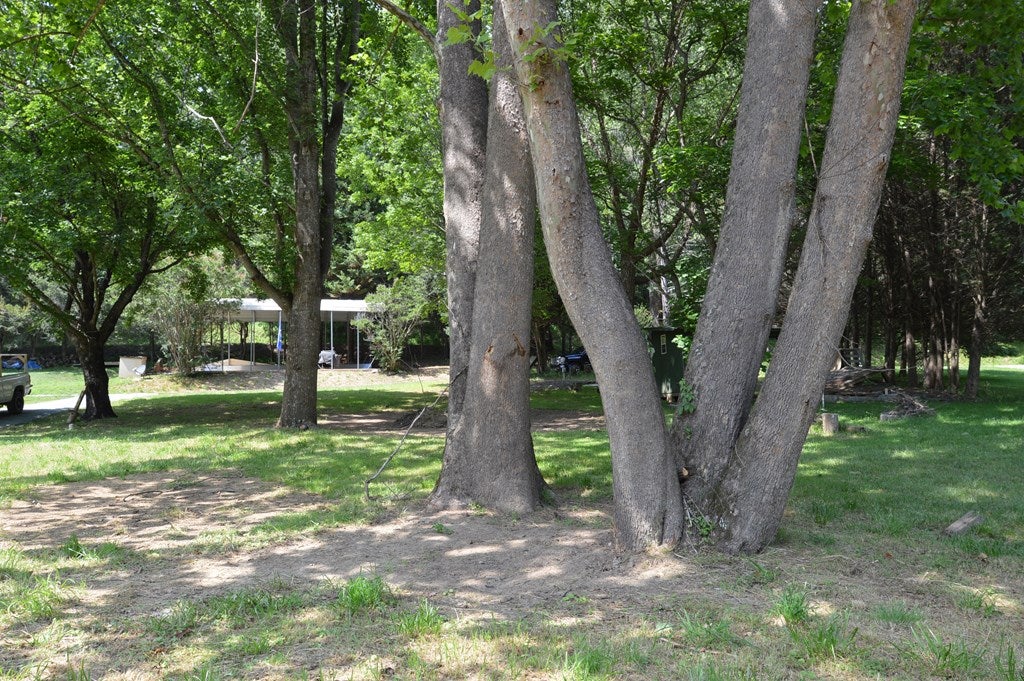 Lot #58 Pleasant Grove Road, Unit 58 Independence, VA 24348 - Photo 13 of 23 Gallery Image 13