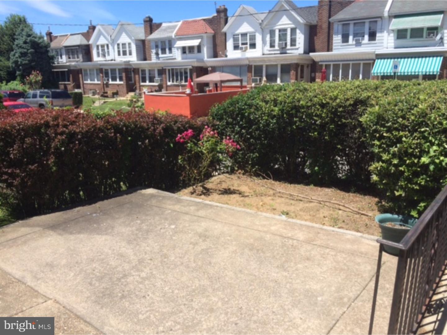 Front Yard
