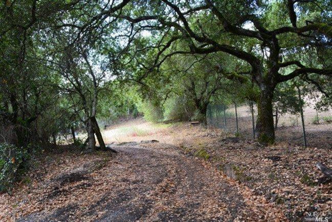a view of backyard with green space