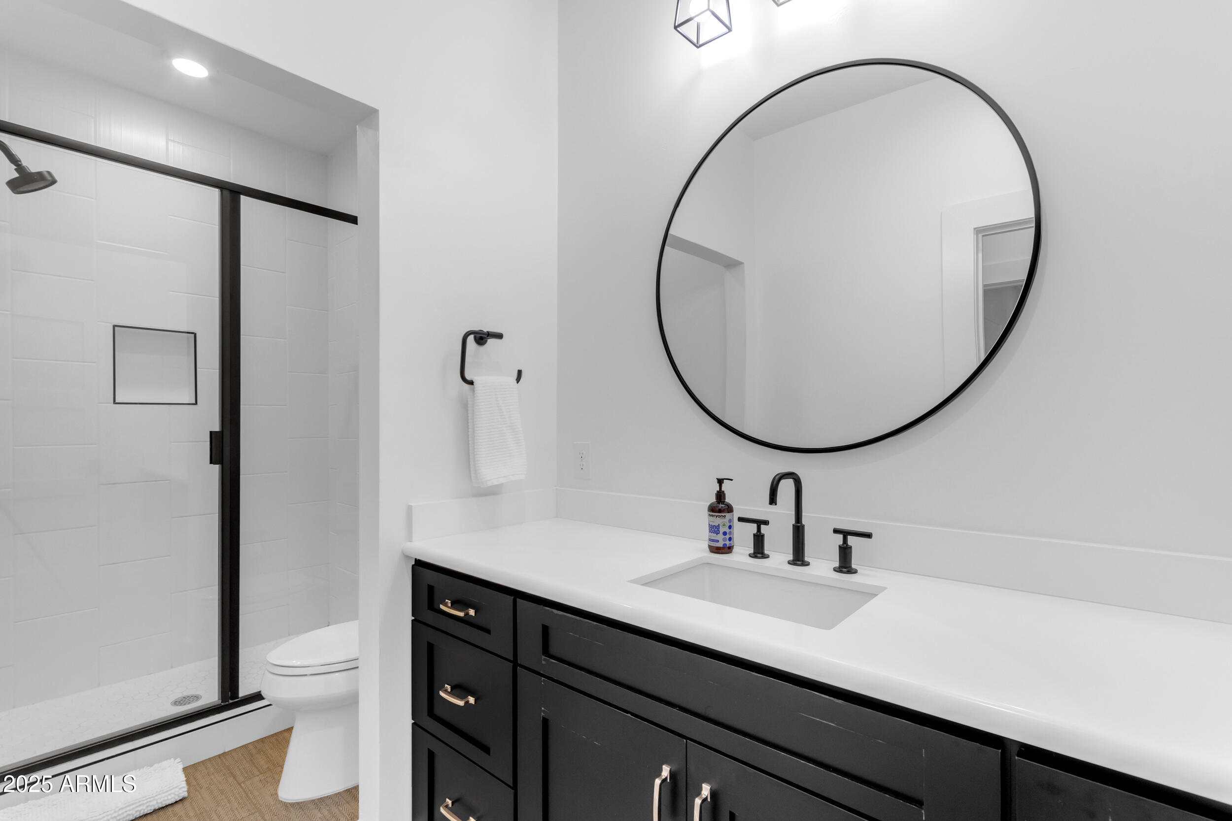 2580 East Country Shadows Street Gilbert, AZ 85298 - Photo 61 of 94 a bathroom with a sink a toilet and a mirror