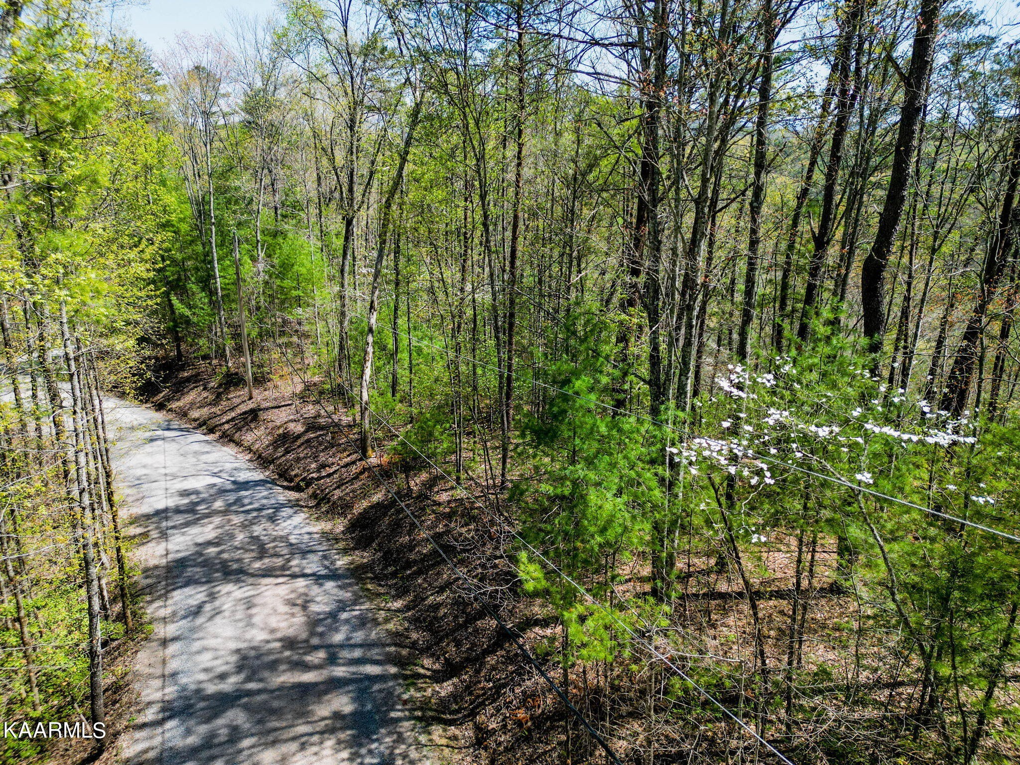 33 Oakwood Road Walland, TN 37886 - Photo 19 of 34 Gallery Image 19